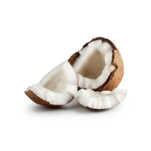 coconut bits