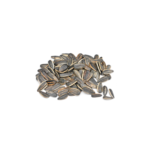 sunflower seeds
